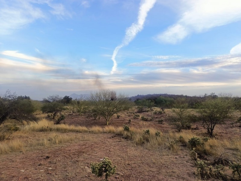 Incendio afectan 400 hectáreas en ranchos de Cajeme
