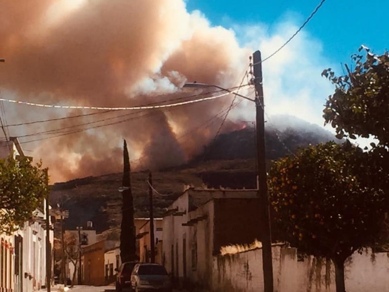 ¡Incendio arrasó con casi 300 hectáreas!