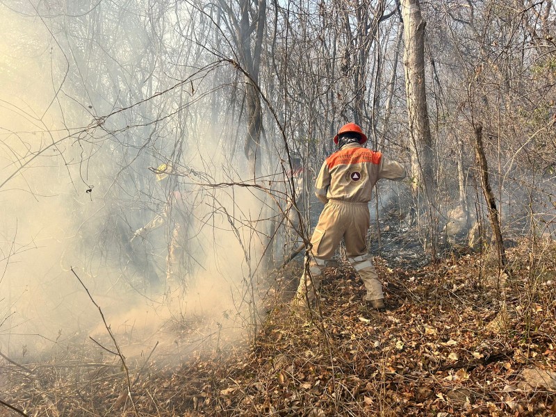 Incendio consume 18 hectáreas en el Mactumactzá