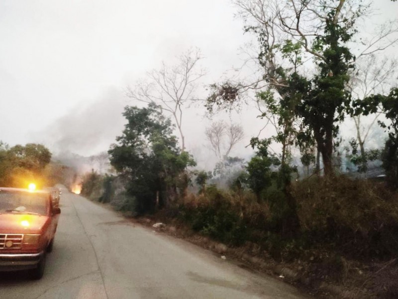 Incendio consume 20 hectáreas de pastos en Tihuatlán