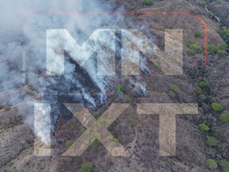 Incendio consume cuatro hectáreas en la zona oriente de Zihuatanejo