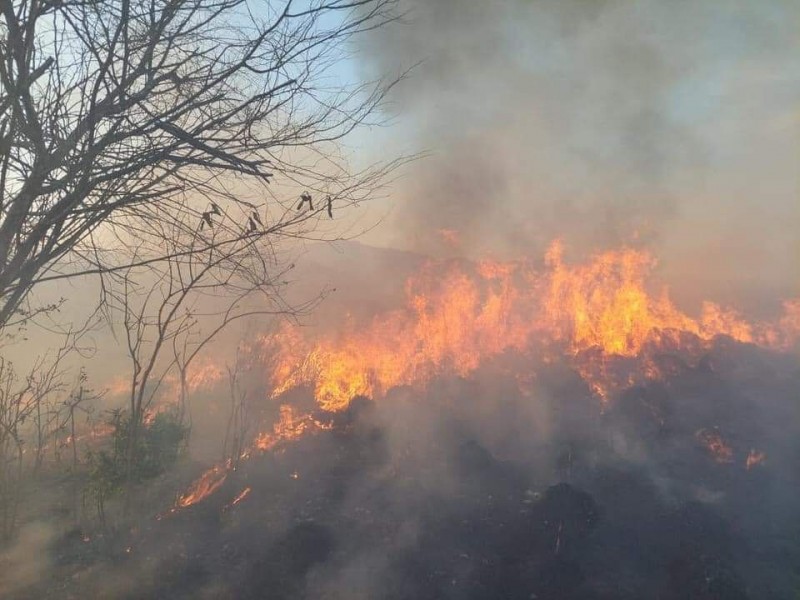Incendio cumple 24 horas activo en Zihuatanejo