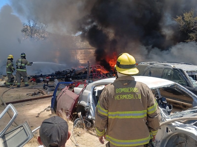 Incendio de maleza y basura se propaga a corralón de vehículos ...