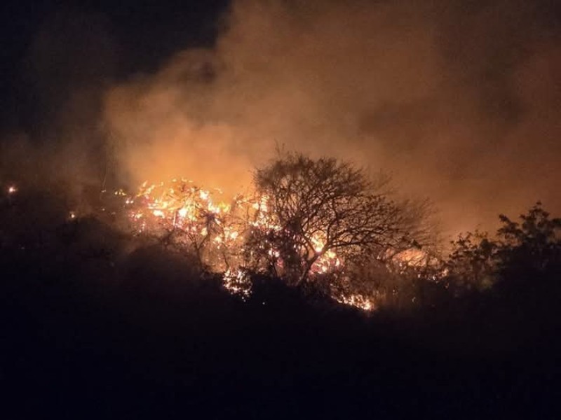 Incendio de pastizal alarma a vecinos en El Coyol