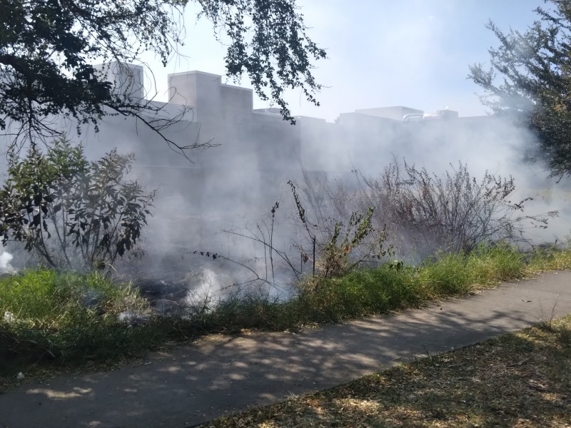 Incendio de pastizal alerta a corporaciones de auxilio en Zamora