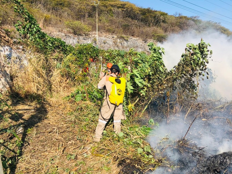 Incendio de pastizal consume seis hectáreas en Tuxtla