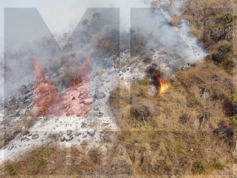 Incendio de pastizales fuera de control en 12 de Marzo