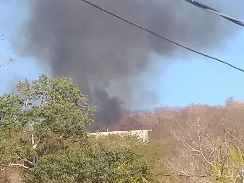 Incendio de pastizales moviliza a bomberos en Zihuatanejo