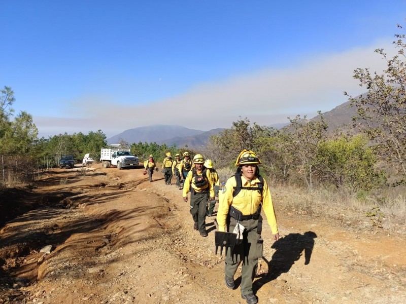 Incendio de Quiaviní controlado al 90 por ciento: CONAFOR