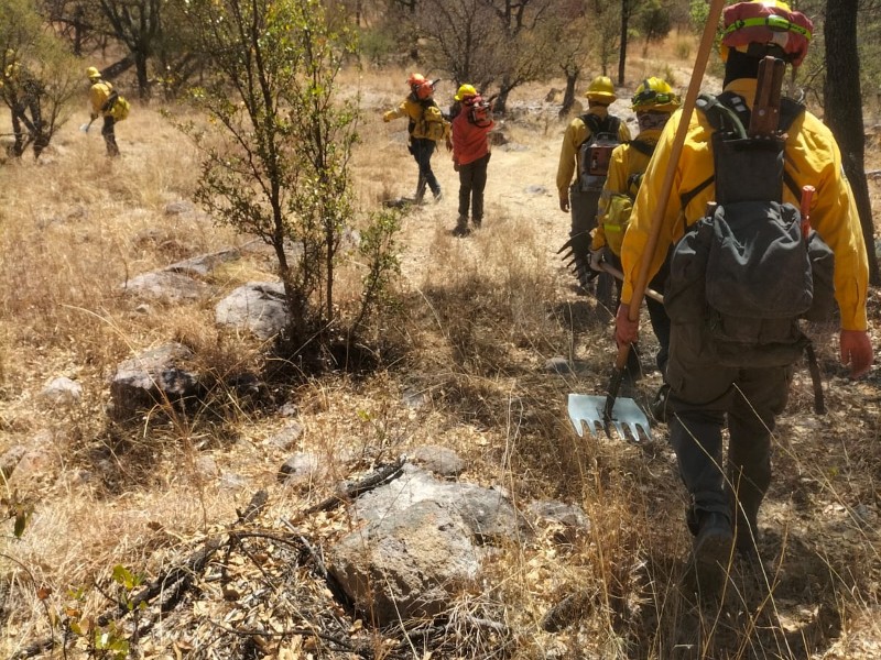 Incendio de Yécora controlado, más de 5 mil hectáreas dañadas