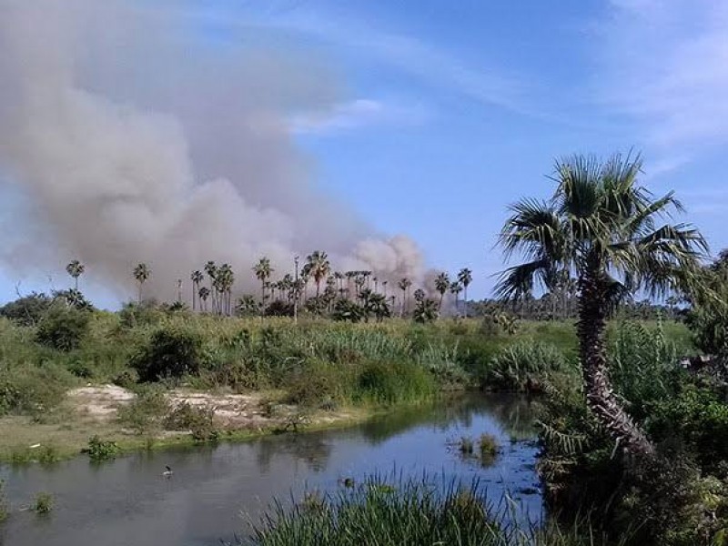 Incendio devasta estero de San José del Cabo