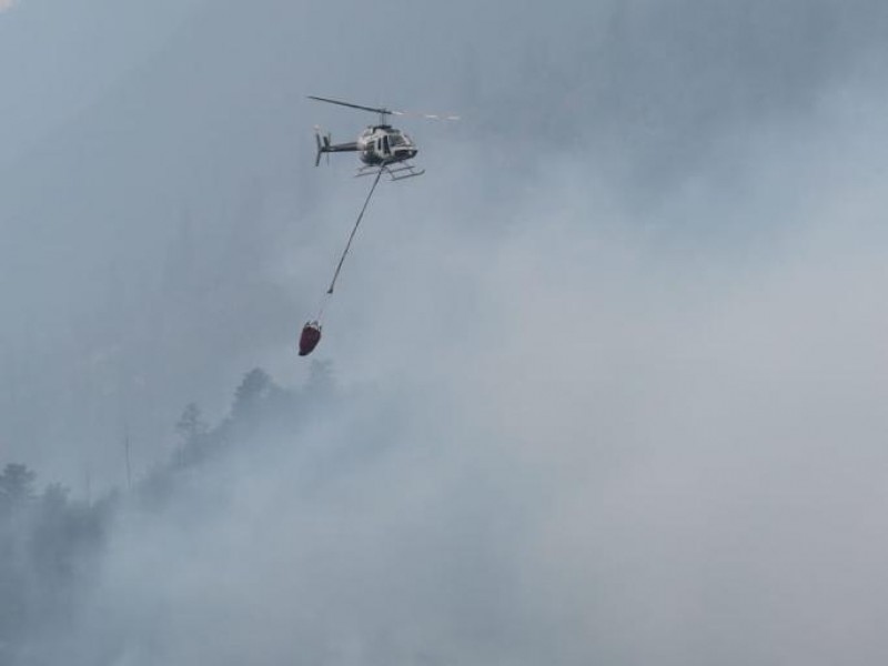 Incendio en Arteaga ya está controlado al 75%