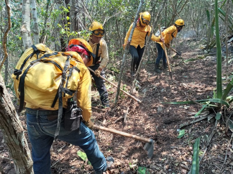 Incendio en Cañón del Sumidero ha consumido 220 hectáreas