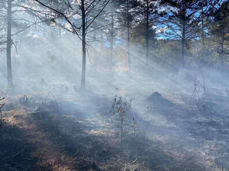 Incendio en Chamula, consume varias hectáreas forestales