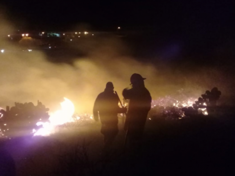 Incendio en Ecoparque fue provocado por jóvenes