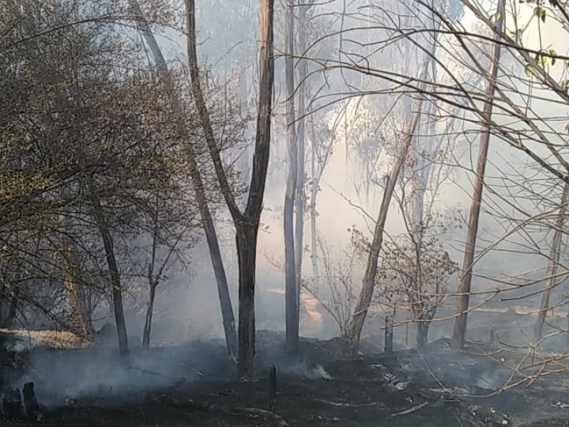 Incendio en el Bosque de Chapultepec