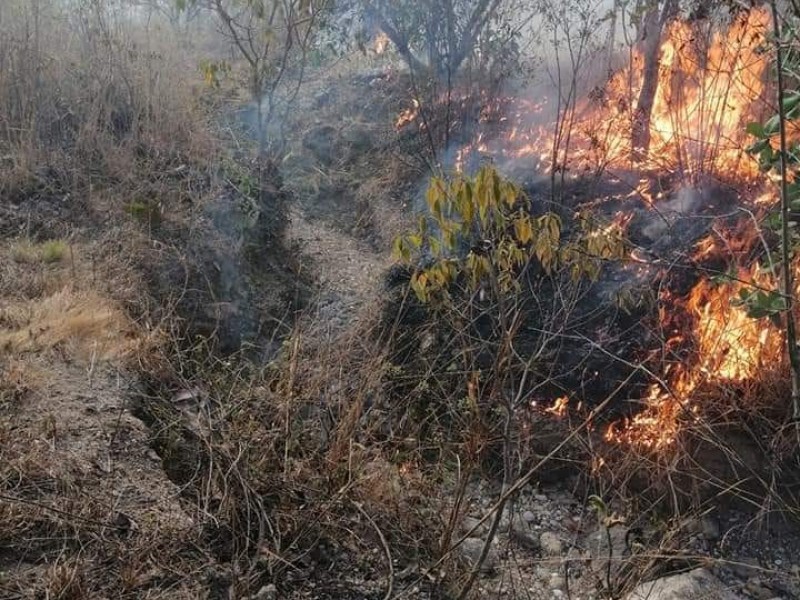 Incendio en el cerro de San Juan consume 20 hectáreas