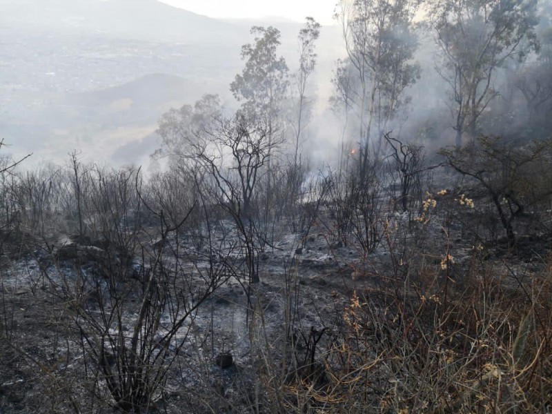 Incendio en el Cerro del Punhuato dejó 35 hectáreas afectadas