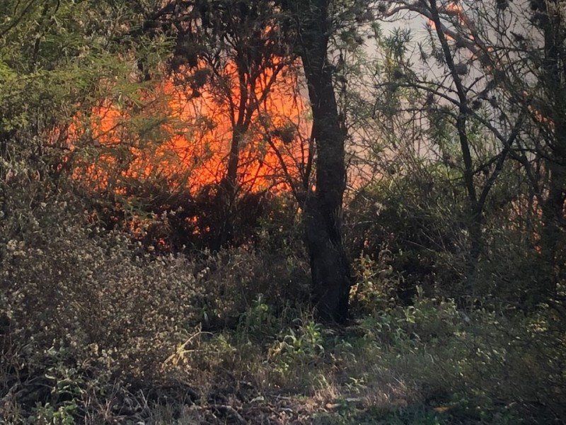 Incendio en Fresnillo. INE designa capacitadores. SAT nombra nuevo encargado