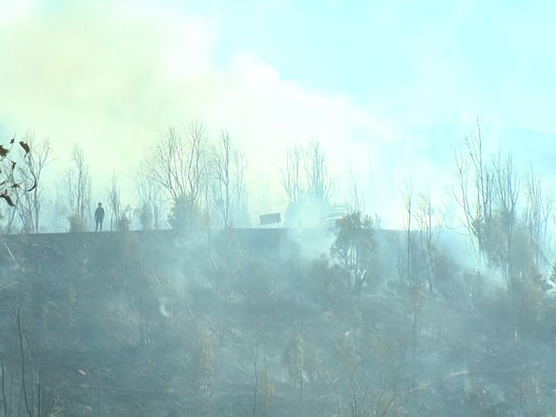 Incendio en la Bufa afectó 3 hectáreas y transformador eléctrico