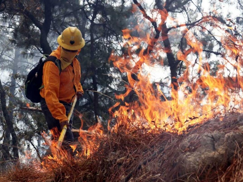 Incendio en la encrucijada controlado en un 90%