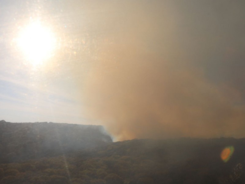 Incendio en La Primavera afecta 25 hectáreas