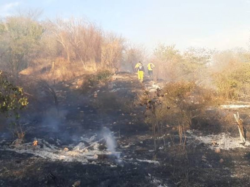 Incendio en la sierra de Álamos suma 1390 hectáreas consumidas