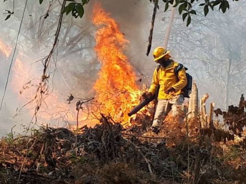 Incendio en Panamá consume 140 hectáreas de bosque