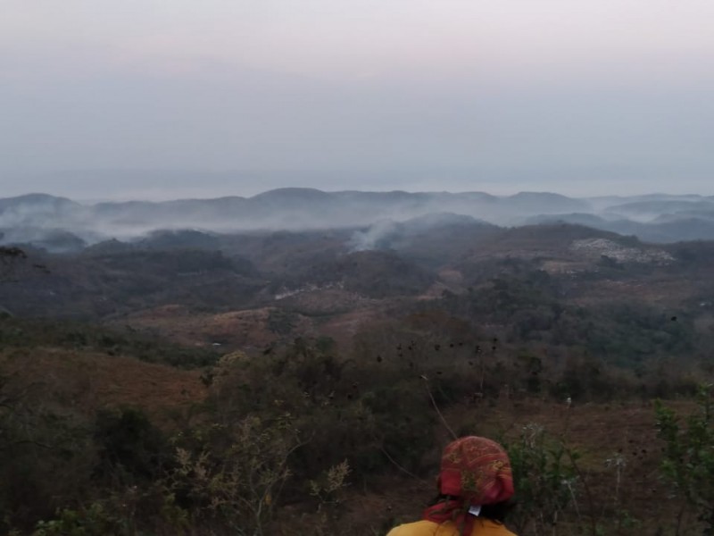 Incendio en Parque Cañón del Sumidero consume 10 hectáreas