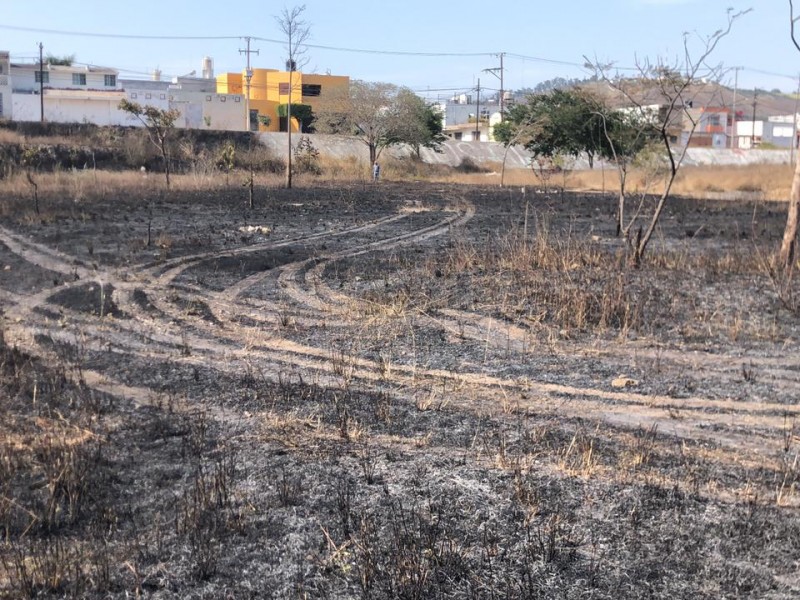 Incendio en parque de la dignidad fue ataque, activista