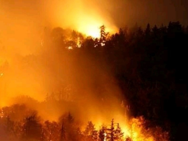 Incendio en Puente Seco lleva 4 días sin control