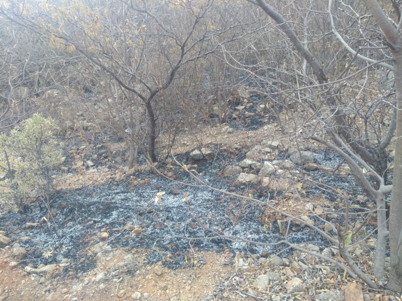Incendio en San Pedro Huilotepec