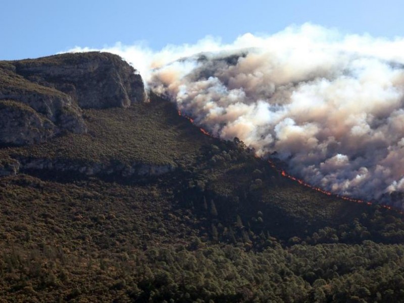 Incendio en Sierra de Arteaga se ha controlado 15%