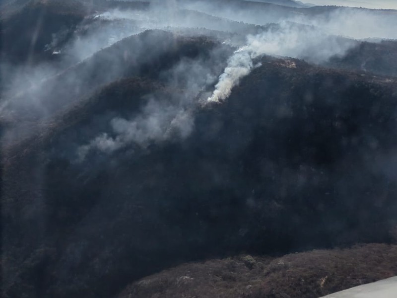 Incendio en sierra de Morones ha consumido 2,800 hectáreas