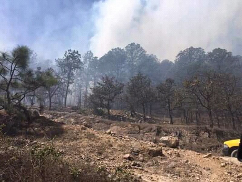 Incendio en Surutaro, Badiraguato, consumió 12 hectáreas