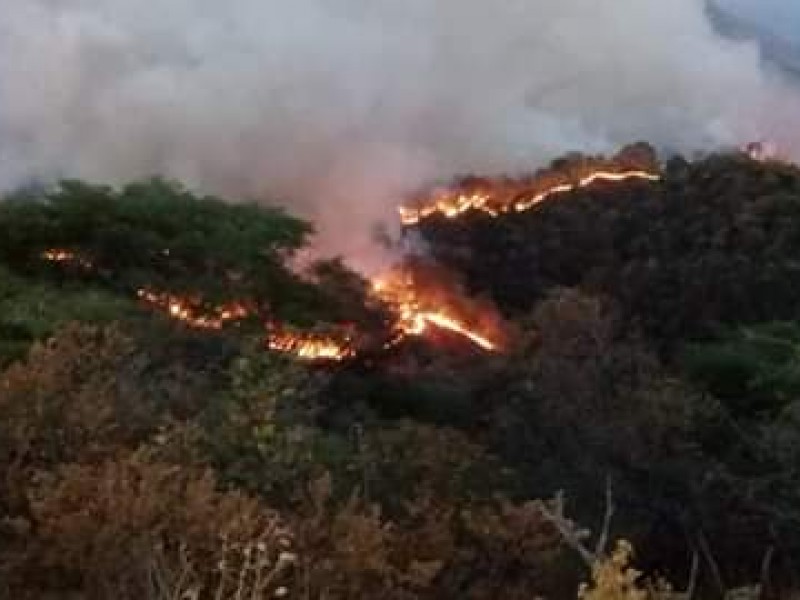 Incendio en Tlatlaya amenaza fauna silvestre
