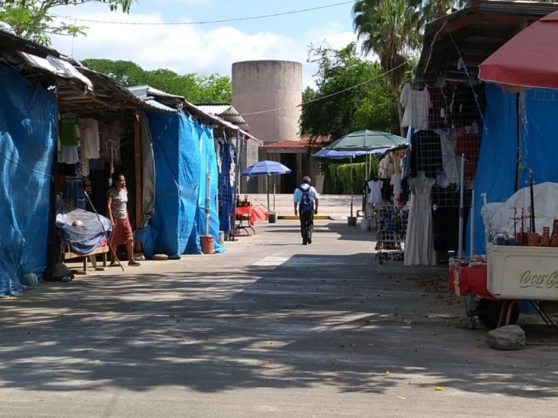 Incendio exhibe carencias en El Tajin