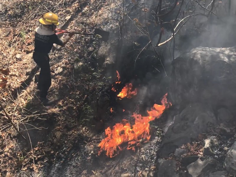 Incendio forestal alarma a vecinos de colonia Cerrocoy