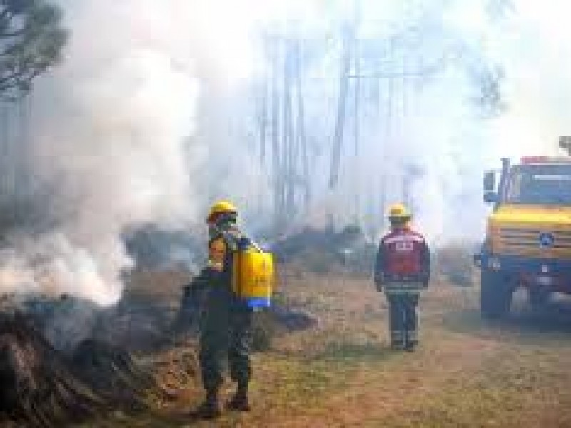 Incendio forestal cerca del Pico de Orizaba afectó 65 hectáreas