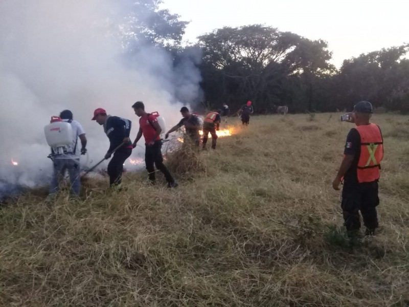 Incendio forestal consume 25 hectáreas de pastizal en Petatlán