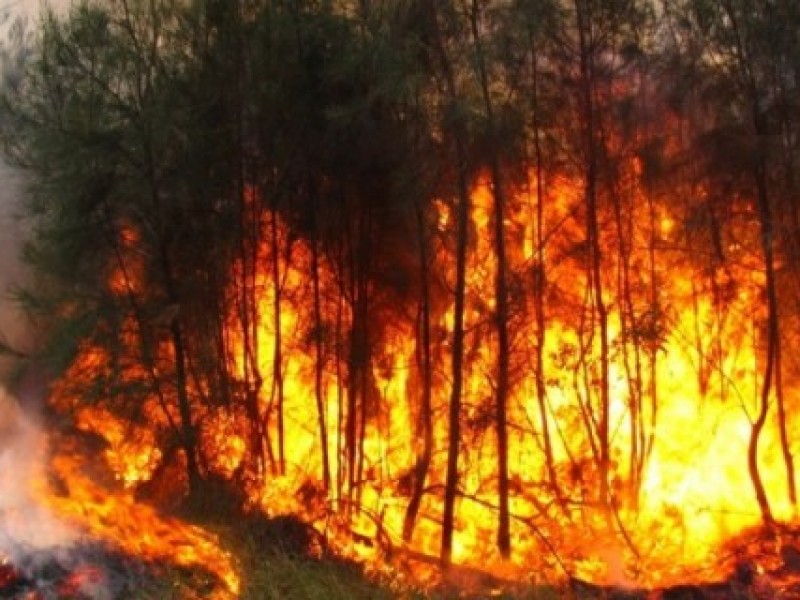 Incendio forestal consume reserva de los Chimalapas