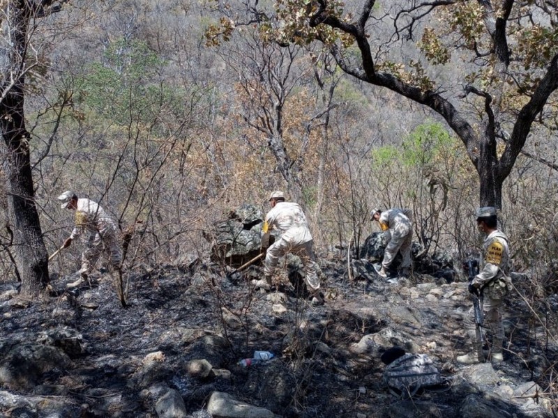 Incendio forestal de Álamos acabaría hoy: Durazo