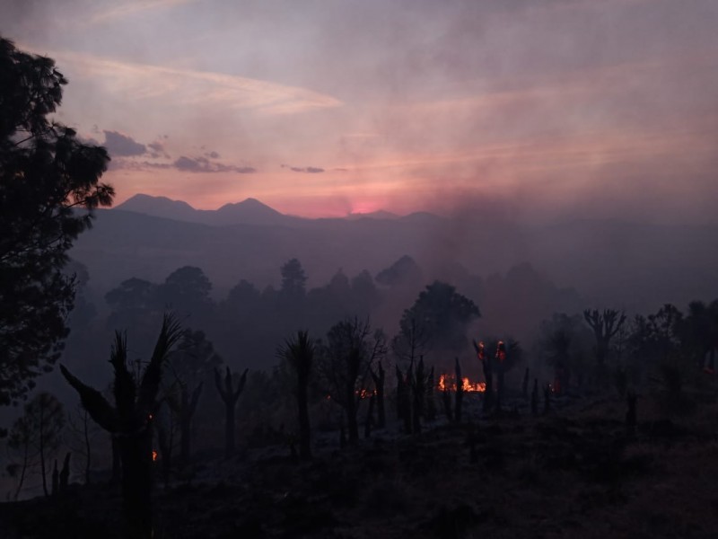 Incendio forestal de Perote consumió 30 hectáreas de bosque