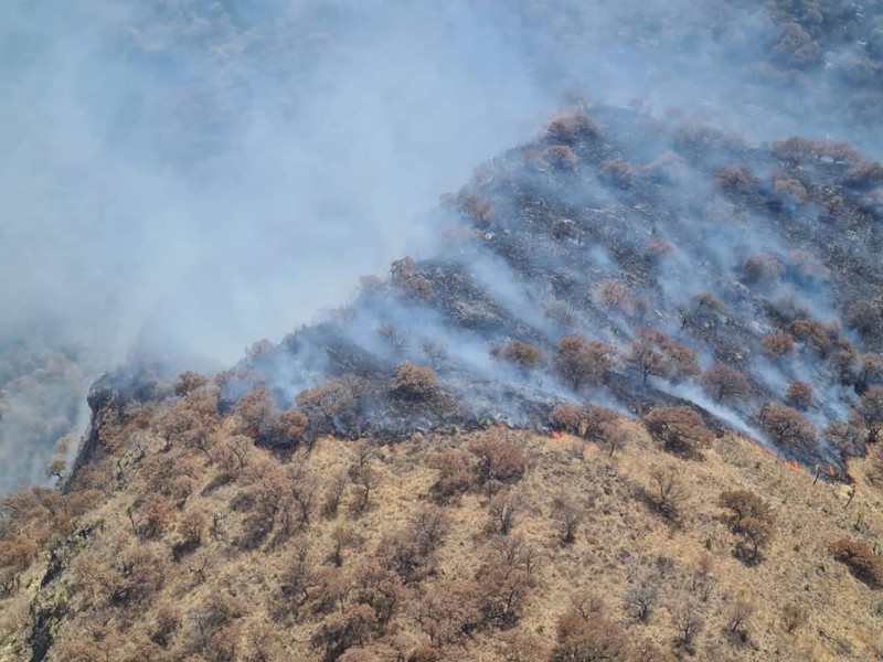 Incendio forestal de Sahuaripa podría consumir más que en Álamos