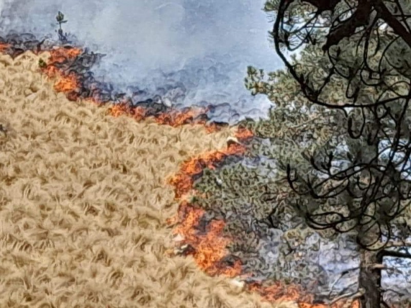 Incendio forestal del Izta-Popo controlado al 60%