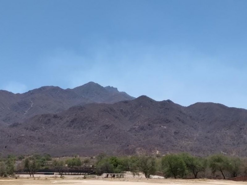 Incendio forestal en Álamos a un paso de ser liquidado