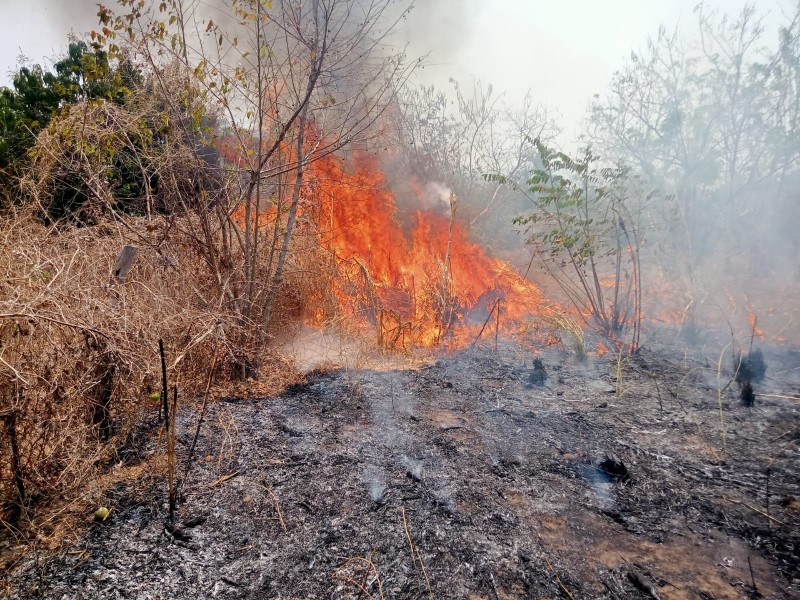 Incendio forestal en Atoyac rebasa las 100 hectáreas afectadas