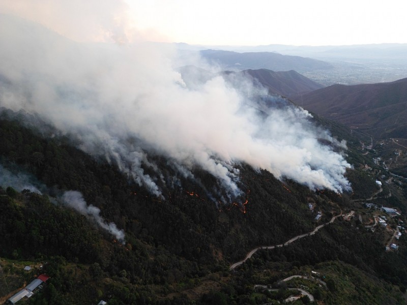 Incendio forestal en Oaxaca, deja cinco viviendas siniestradas: COESFO