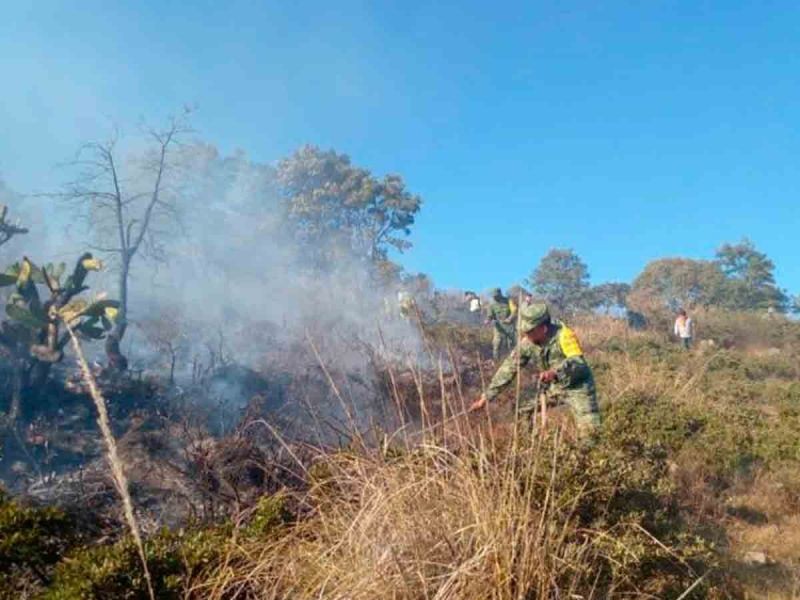 Incendio forestal en  Queretaro activa el plan DN-III