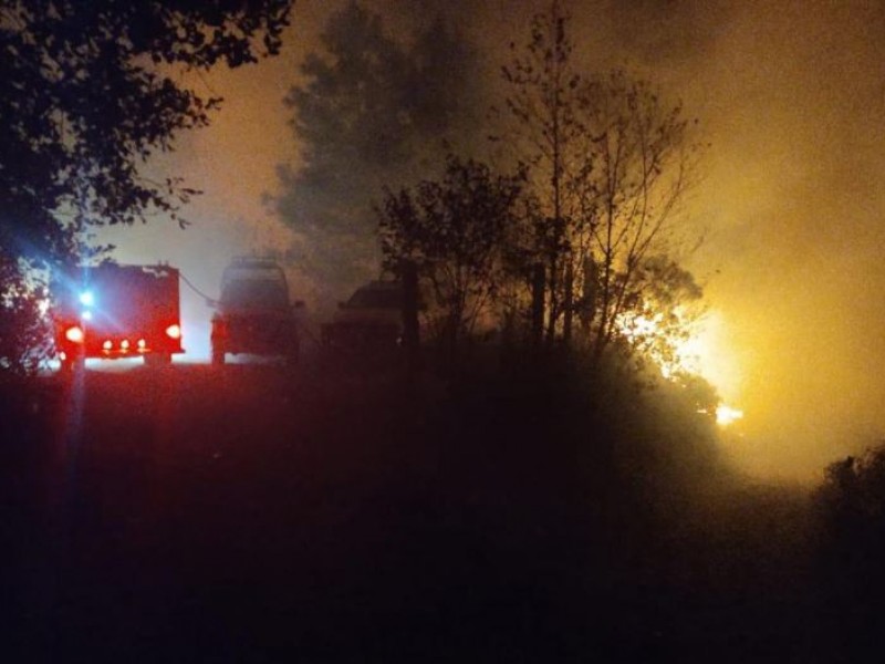 Incendio forestal en Tatatila arrasa con 130 hectáreas de bosque